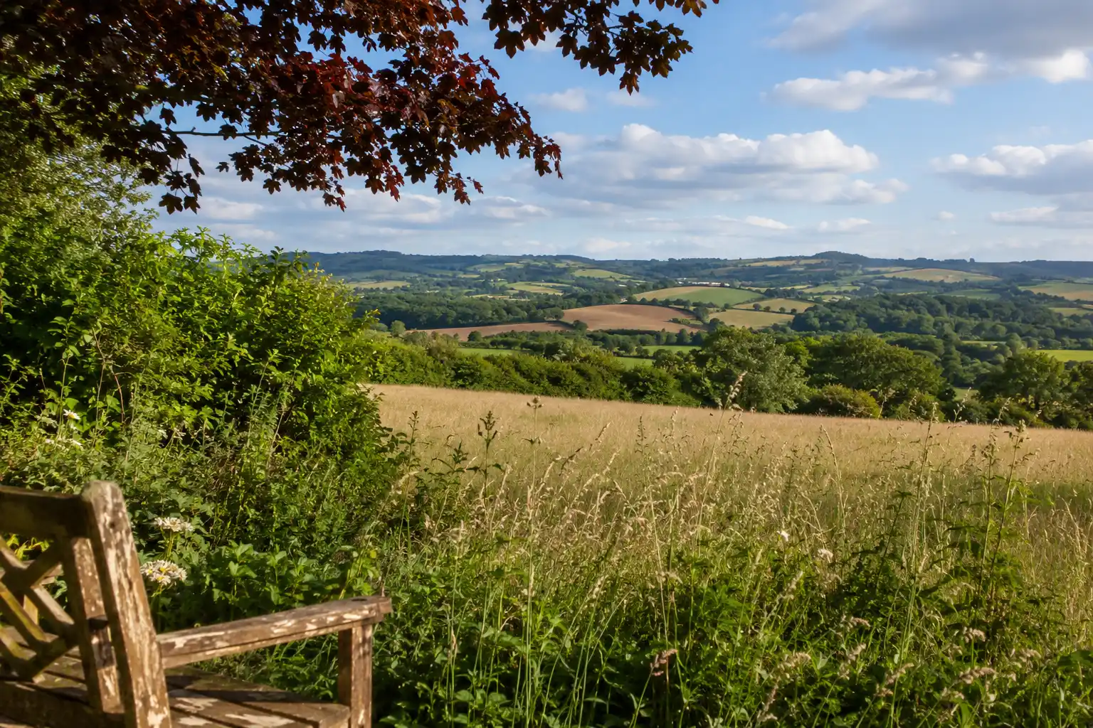 The view from a field gate at Colebrooke looking across a patchwork of fields towards Yeoford